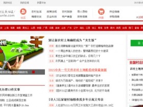 王通:最接地气的农村O2O项目“村村乐”