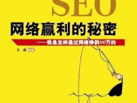 王通：《SEO网络赢利的秘密》正式上市