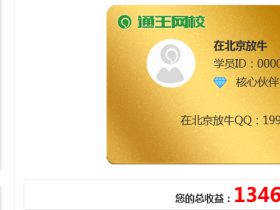 王通:零投资的网络赚钱方法